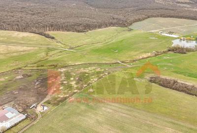 Spațiu comercial, în Șura Mică - 10