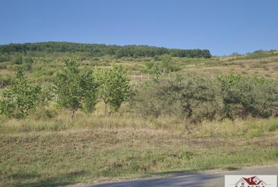 Teren Construcții intravilan de 2500 mp, în Ciugud - 1