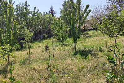 Casa si teren sat Epureni (Duda-Epureni), Vaslui - 10