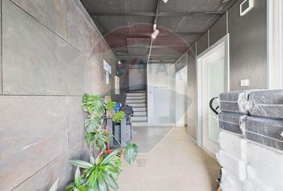 Spațiu industrial, de 472.66000366211 mp, în Theodor Pallady - 21