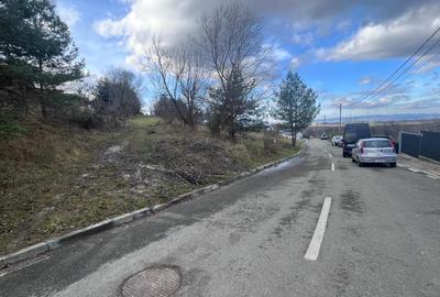 Teren Intravilan 495 mp – Zonă Liniștită Strada Livezii - 7