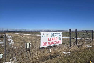 Spațiu comercial, în Chilieni - 11