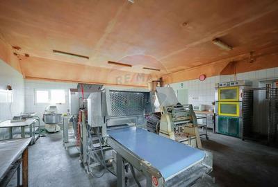 Spatiu comercial si brutarie/patiserie de Inchiriat in zona Iosia - 3