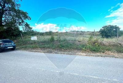 Teren de 4267 mp, în Satu Nou (Panciu) - 9