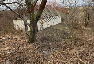 Teren agricol extravilan de 2900 mp, în Independenței - 2