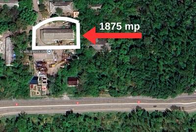 Teren in mijlocul padurii Valu lui Traian 1875 mp si cladire 450 mp hala - 9