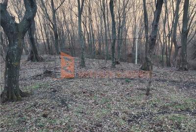 Spațiu comercial, în Sărata - 1