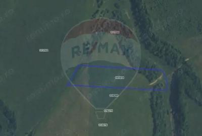 Teren de 10800 mp, în Râșnov - 2