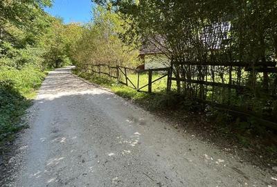 Casă cu Teren 358 Mp în Valea Mănăstirii - 11