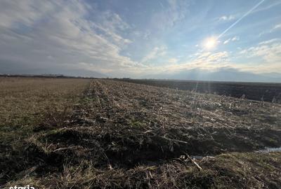 Spațiu comercial, în Cristian - 3
