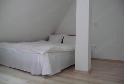 Predeal-Vila de vacanta pretabil pensiune - 8