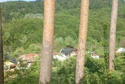 Imobiliare CASA TEREN - 5