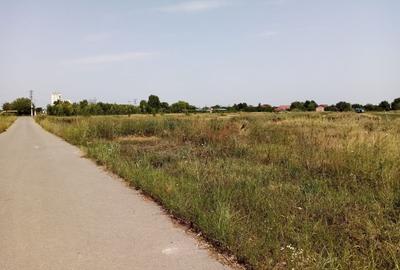 TEREN CONSTRUCTII-CORBEANCA-TAMASI-PRET IMBATABIL-LANGA PADURE-POZITIE BUNA - 3