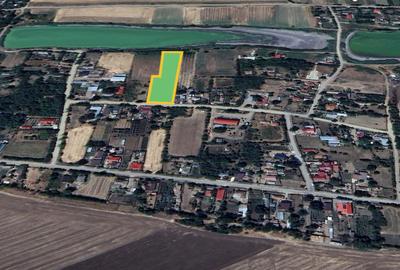 Vand casa 150 mp cu teren 6.230 mp si vedere la balta – Ileana, Calarasi - 1