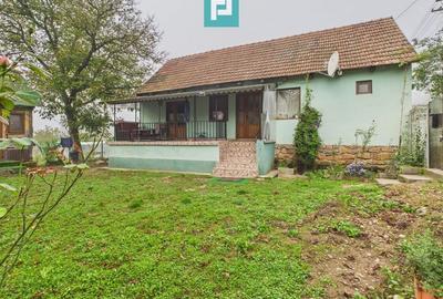 Casă 2 camere la DN7 în Odvoș - 2