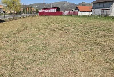 Teren de 960 mp, în Vale - 1