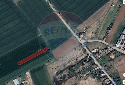 Teren Construcții extravilan de 1858 mp, în Izvorani - 3