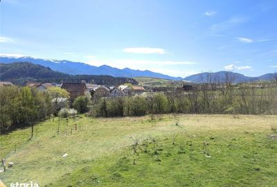 Casă cu 5 camere cu Teren 295 Mp în Central - 5