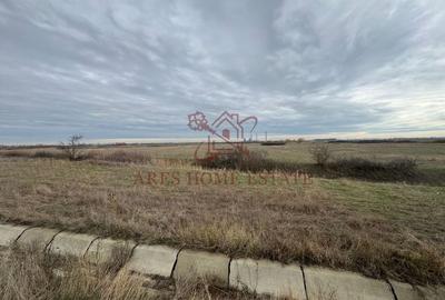 Teren 5.000 mp centura Calea Sagului- Freidorf. Comision 0 - 5