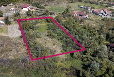 Teren pentru casa de vacanta 4320 mp - 2