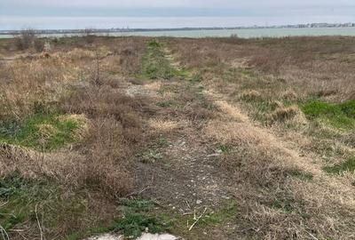 Teren investitie  Palazu Mare - 4