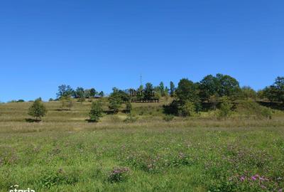 Teren de 8757 mp, în Luncoiu de Jos - 13