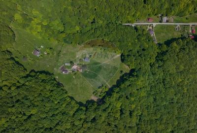 Teren de vanzare - Colonia 1 Mai, 5.310 mp, ideal pentru investitie - 6