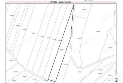 Teren de 5400 mp, în Cuied