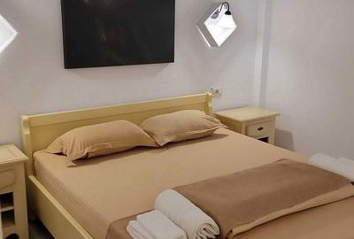 Apartament cu 2 camere decomandat în Berislăvești - 3