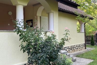 Casă individuală cu 4 camere cu Teren 2000 Mp în Măgura - 14