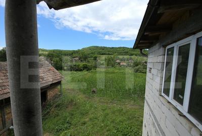 Casa la tara de vanzare, cu 13 ari de teren, la 40 km de Bi - 24