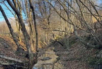 Teren Construcții intravilan de 3540 mp, în Feleacu - 7