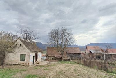 Casă cu 3 camere în Săcel - 3