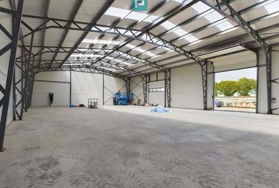 Hala noua in zona industriala Giarmata - 3