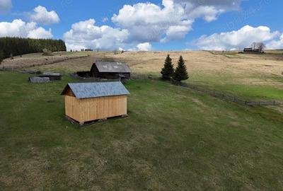 Teren de vanzare 15 hectare in Bucovina Moldova Sulita zona Lucina - 6