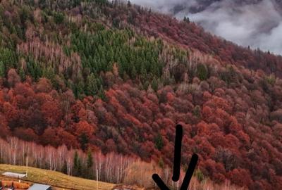 Spațiu comercial, în Măguri - 6
