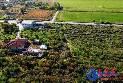 Teren de 44999 mp, în Sabangia - 6