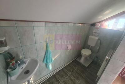 Vila de vanzare cu 5 camere in Busteni - 14