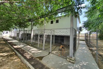 Exclusivitate-Ovidiu-Pet Hotel, 220 mp utili,teren intravilan 1.417mp,utilitati - 10