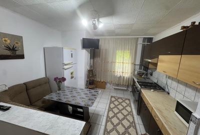 Apartament cu 2 camere decomandat în Tătărași - 7