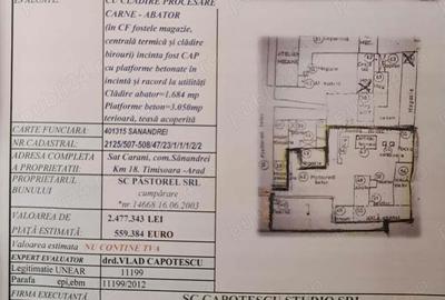 Vand Abatorul din Carani (intre TM si AR ) 6400 mp teren intravilan, 3000mp betonat, 1200 mp frigo - 17