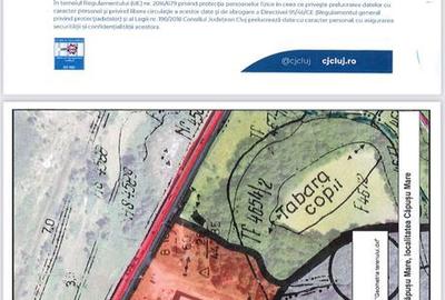 Teren de 10000 mp, în Căpușu Mare - 1