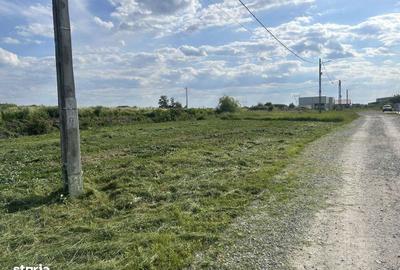 Teren de 500 mp, în Oșorhei - 1