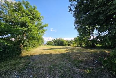 Teren Construcții intravilan de 1251 mp, în Rotbav - 3