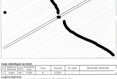 Teren de 24200 mp, în Muntenii de Jos - 2