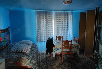 Casă cu Teren 6580 Mp în Zece Hotare - 5