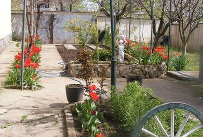 Casă cu 4 camere cu Teren 700 Mp în Cetate - 4