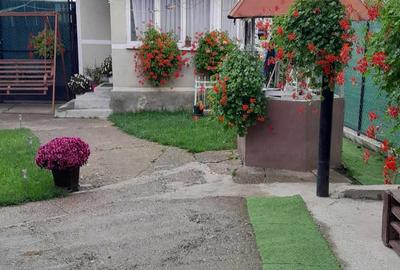 Casă cu 3 camere în Josani (Măgești) - 10