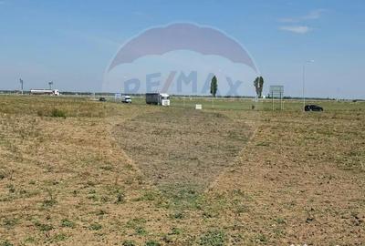 Teren de 10164 mp, în Vadu Anei - 6