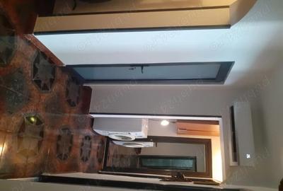 Apartament cu 2 camere decomandat în Plantelor - 15